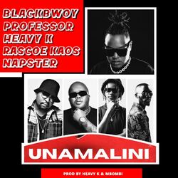 Cover of Unamalini (Radio Edit)