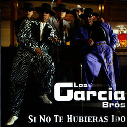 Cover of Si No Te Hubieras Ido