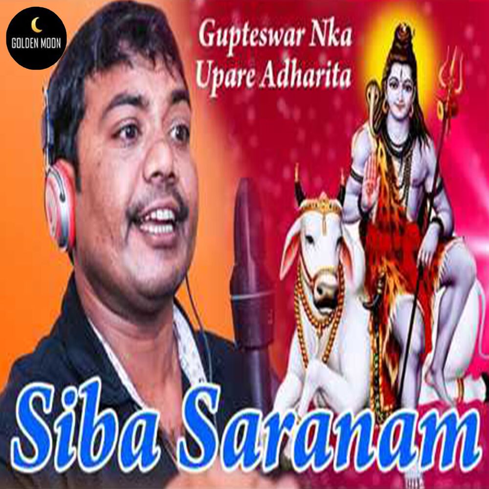 Picture of Siba Saranam
