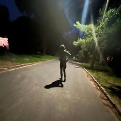 Cover of Throwaways