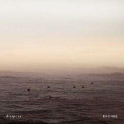 Cover of diaspora : 흩어진 사람들