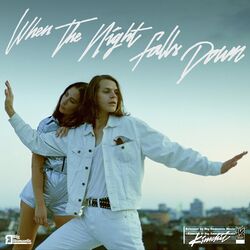 Cover of When The Night Falls Down