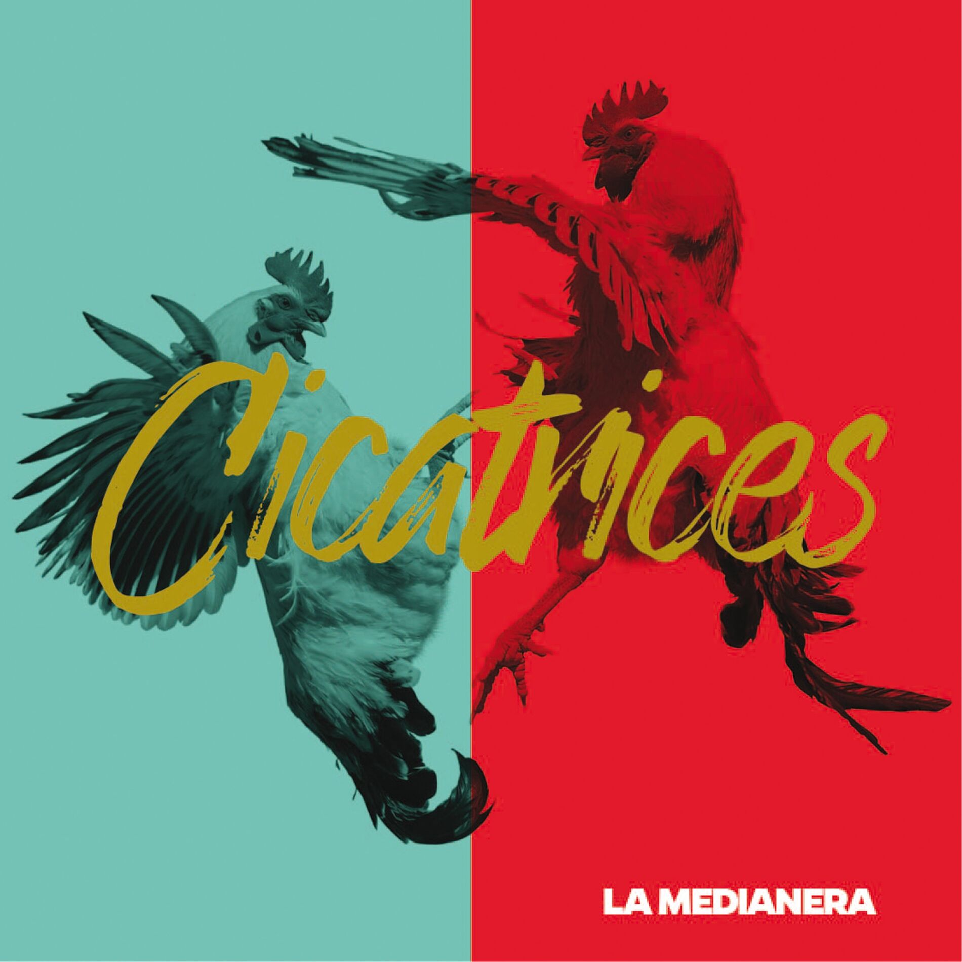 Album cover of Cicatrices