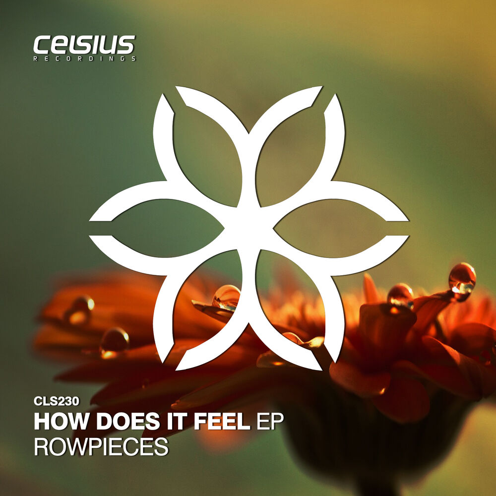 Picture of How Does It Feel EP
