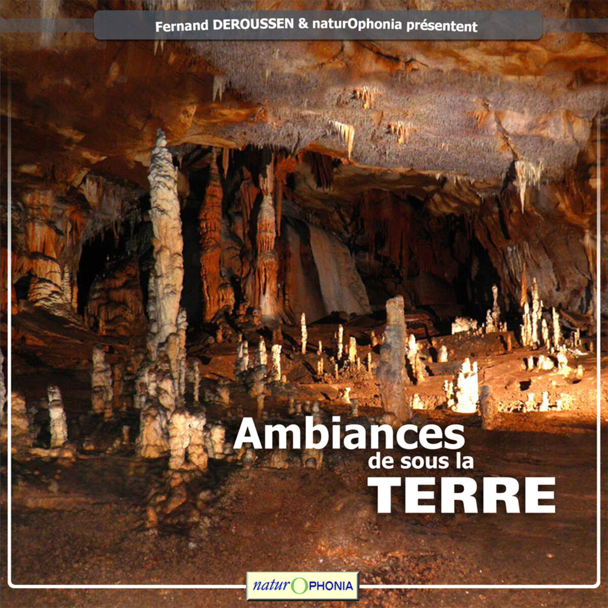Album cover of Flûte de corne