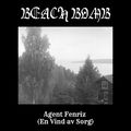 Agent Fenriz(En Vind Av Sorg)