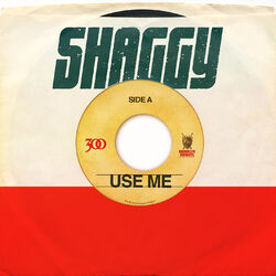 Cover of Use Me