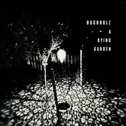 Pochette album