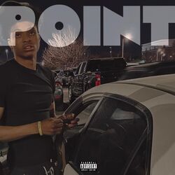 Cover of point