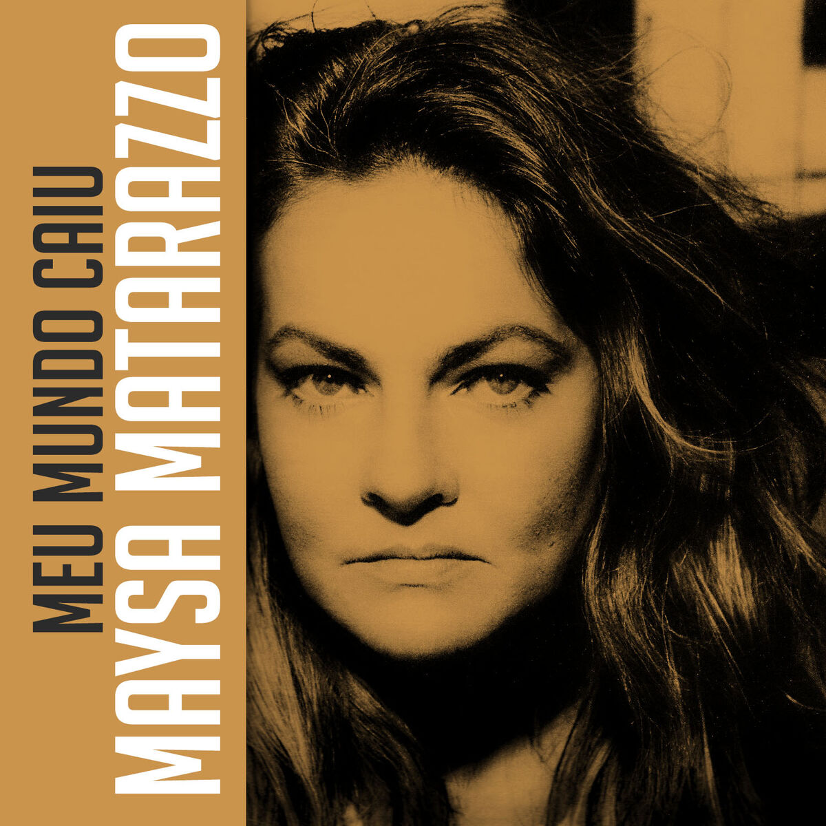 Album cover of Meu Mundo Caiu