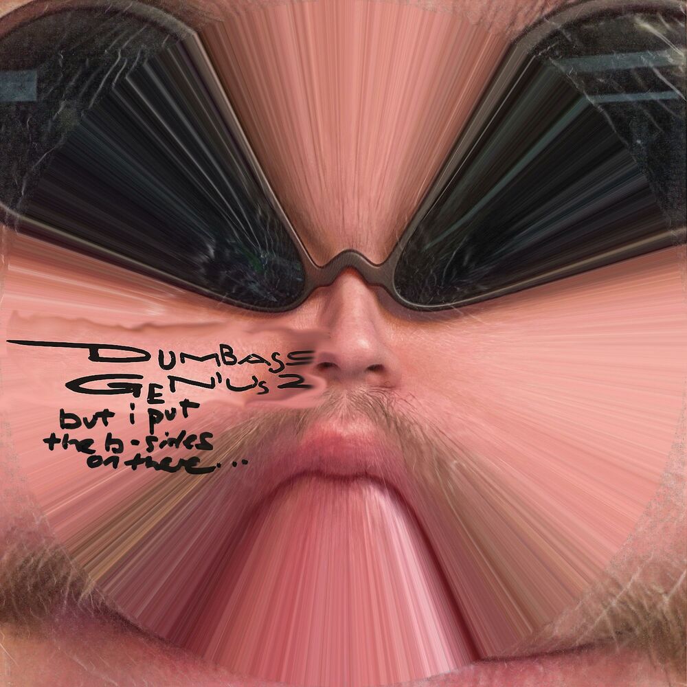 Picture of Dumbass Genius 2 but i put the b-sides on there..