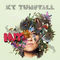 Dear Shadow by KT Tunstall album cover