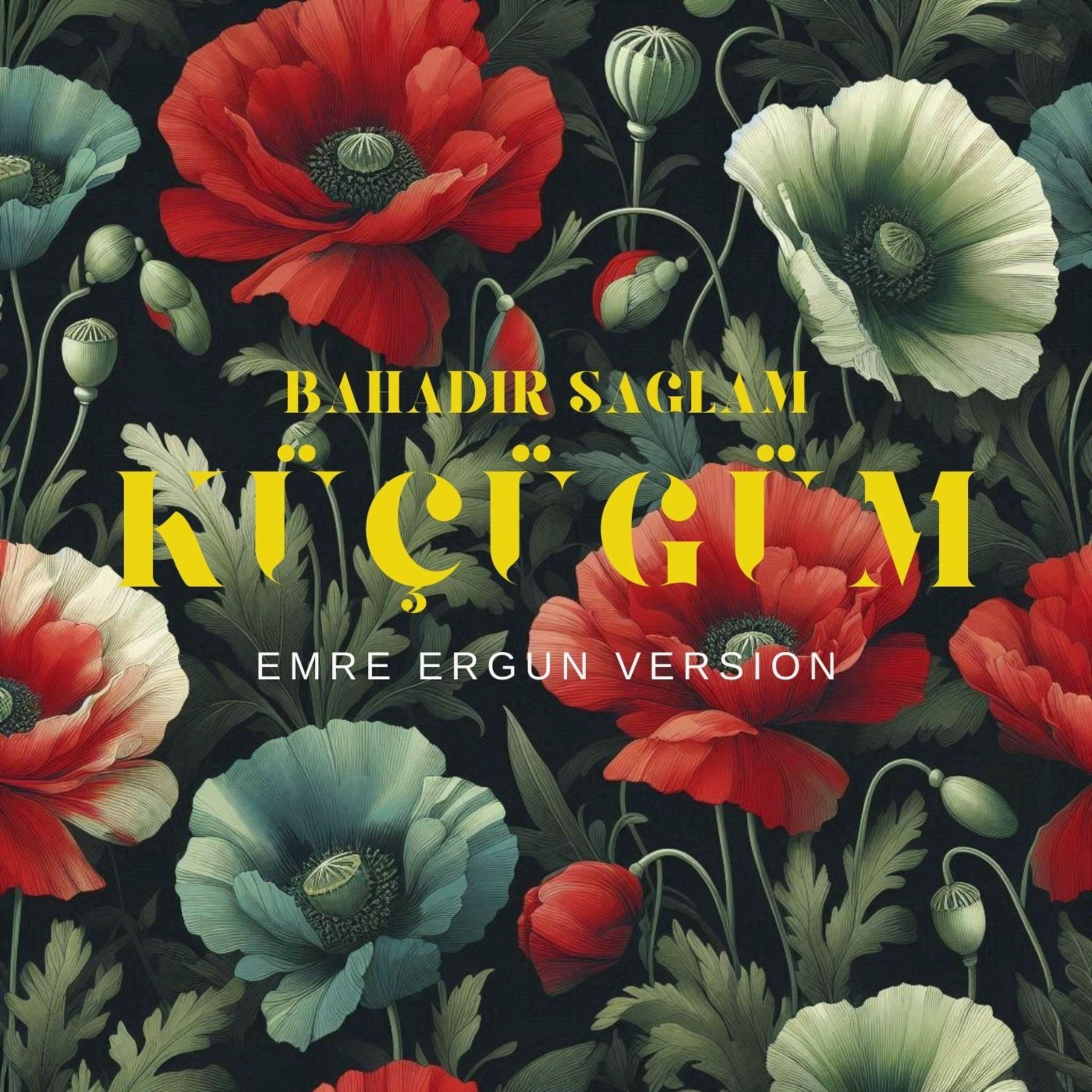 Album cover of Küçüğüm (Emre Ergun Remix Version)