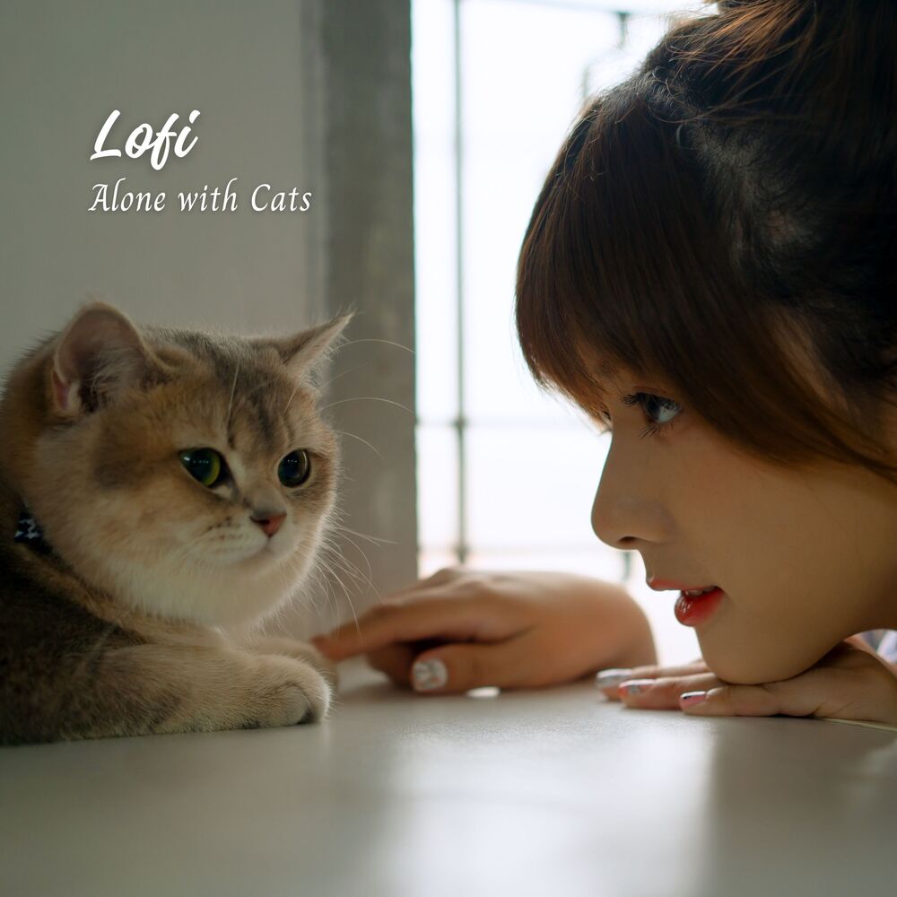 Picture of Lofi Beats for Happy Cats