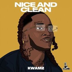 Cover of Nice and Clean