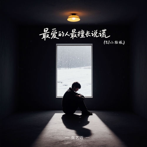 最爱的人最擅长说谎 (Dj小拾版)