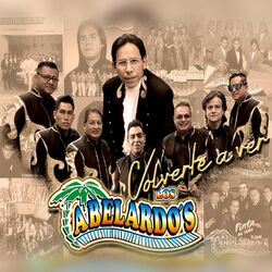 Cover of Volverte a Ver