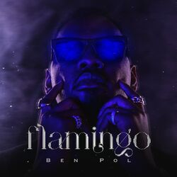 Cover of Flamingo