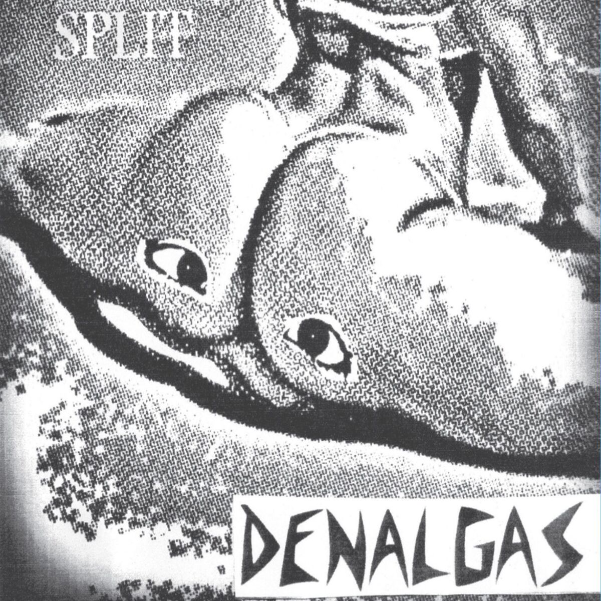 Album cover of Split