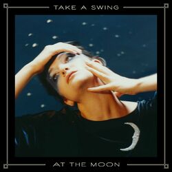 Cover of Take a Swing at the Moon