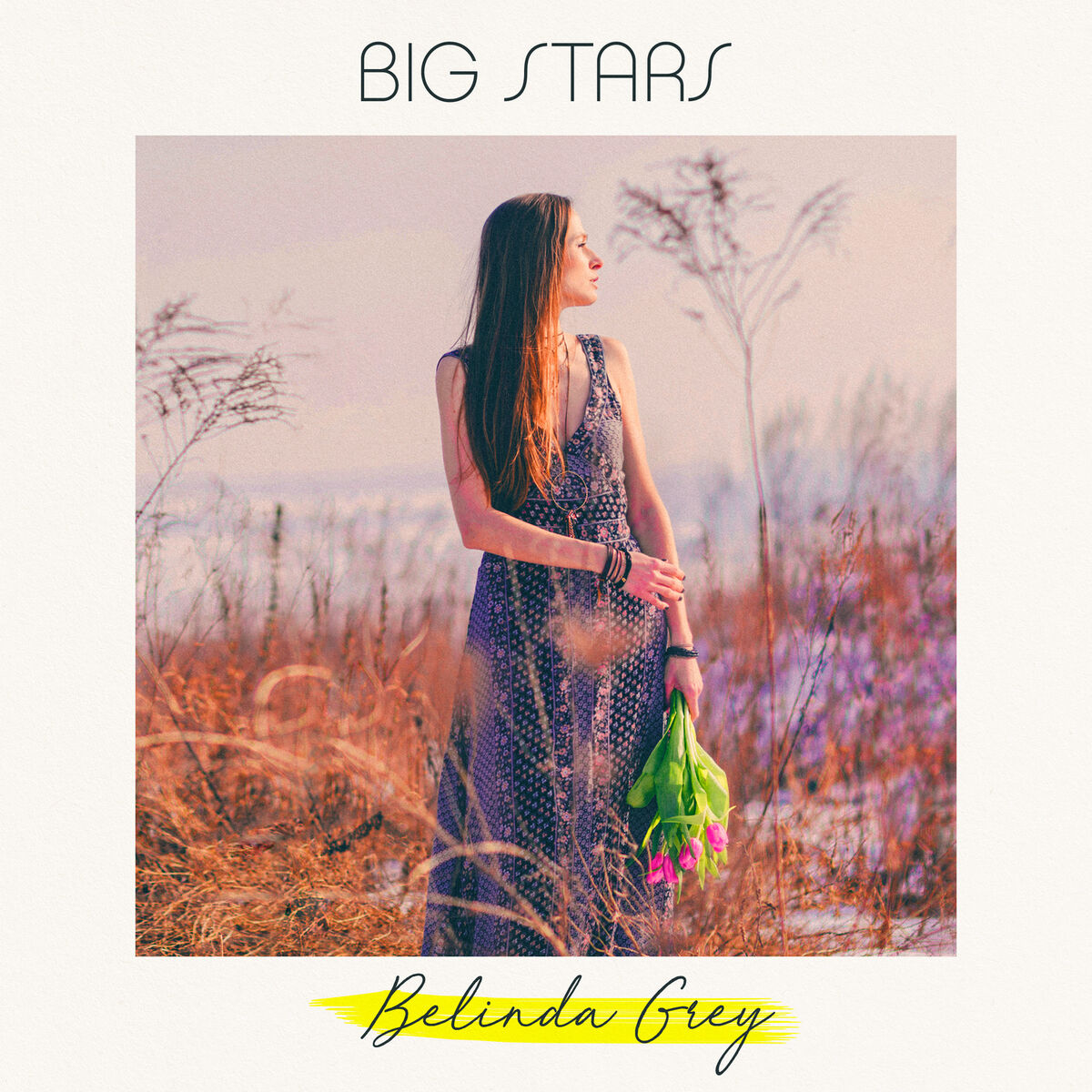 Album cover of Big Stars