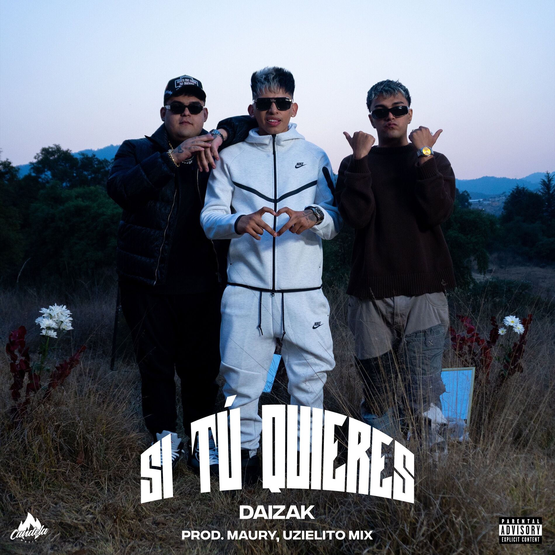 Album cover of Si Tu Quieres