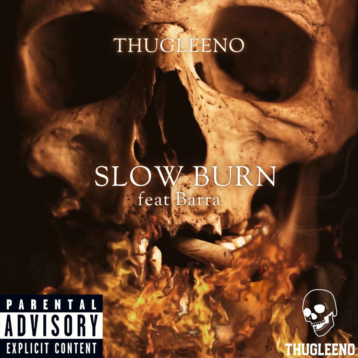 Album cover of Slow Burn