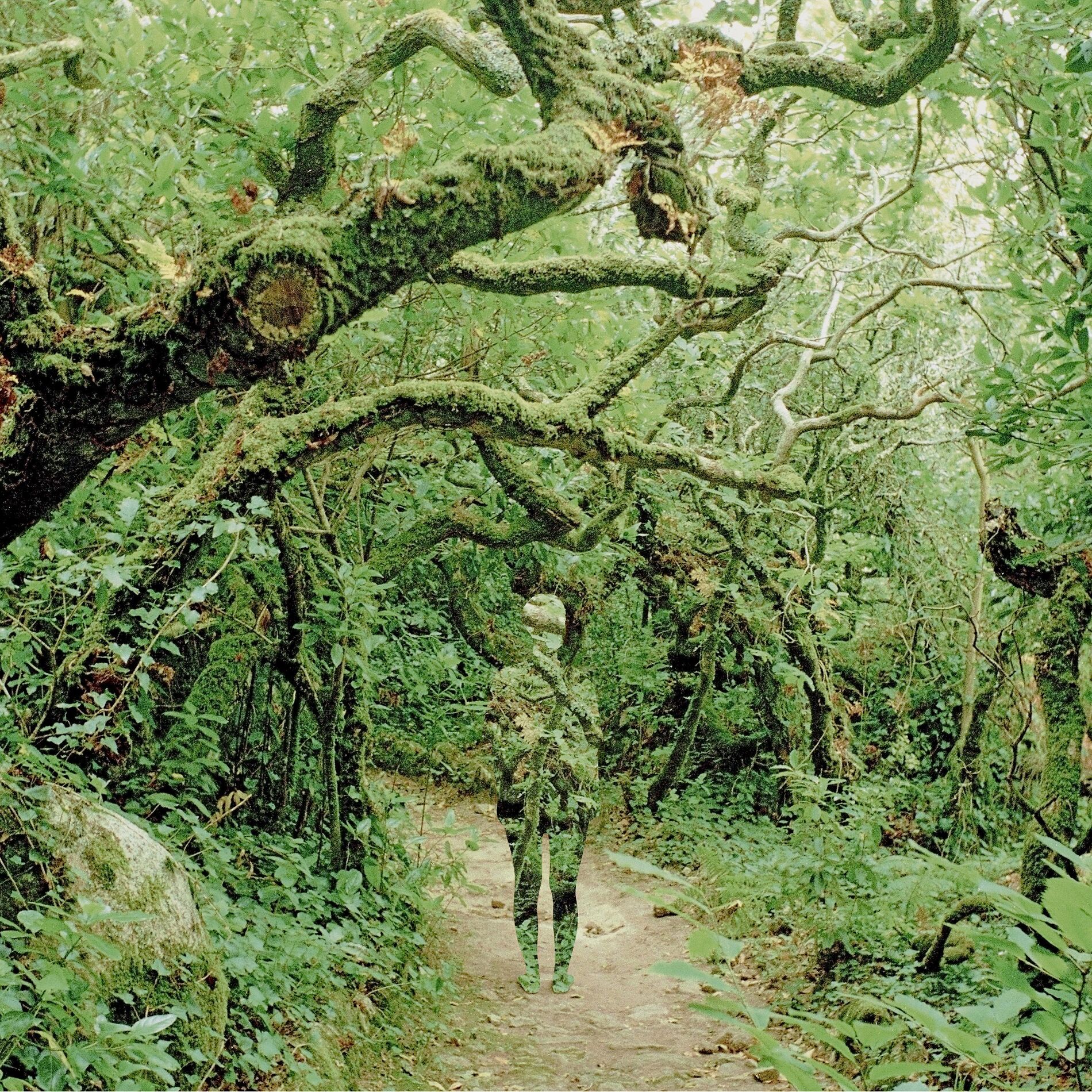 Album cover of Eclosure (Extended)
