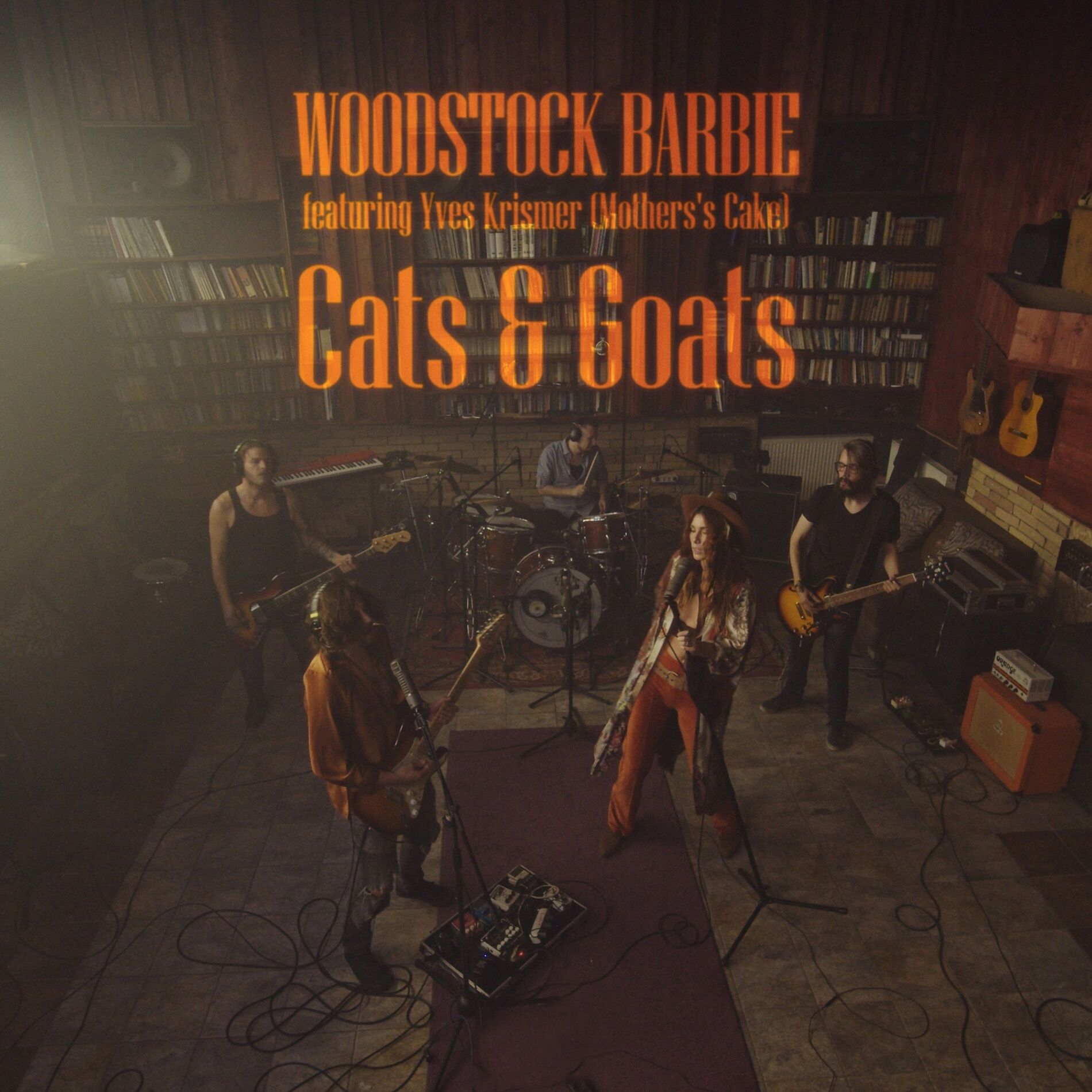 Album cover of Cats & Goats