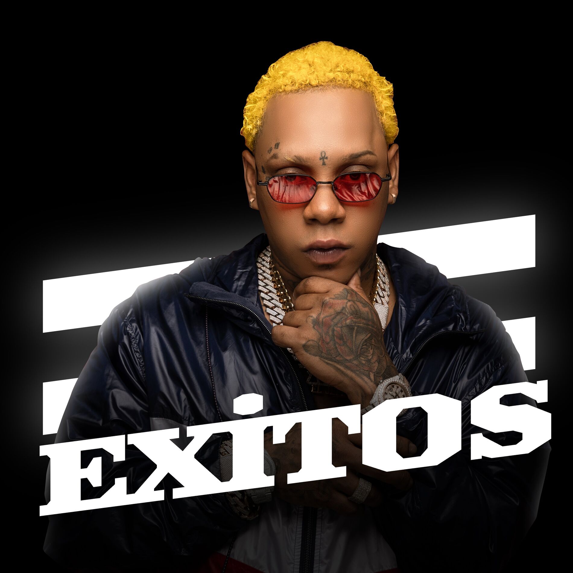 Album cover of Exitos