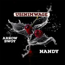 Cover of Usinimwage
