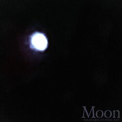 Cover of Moon W/ Tunnel Rat