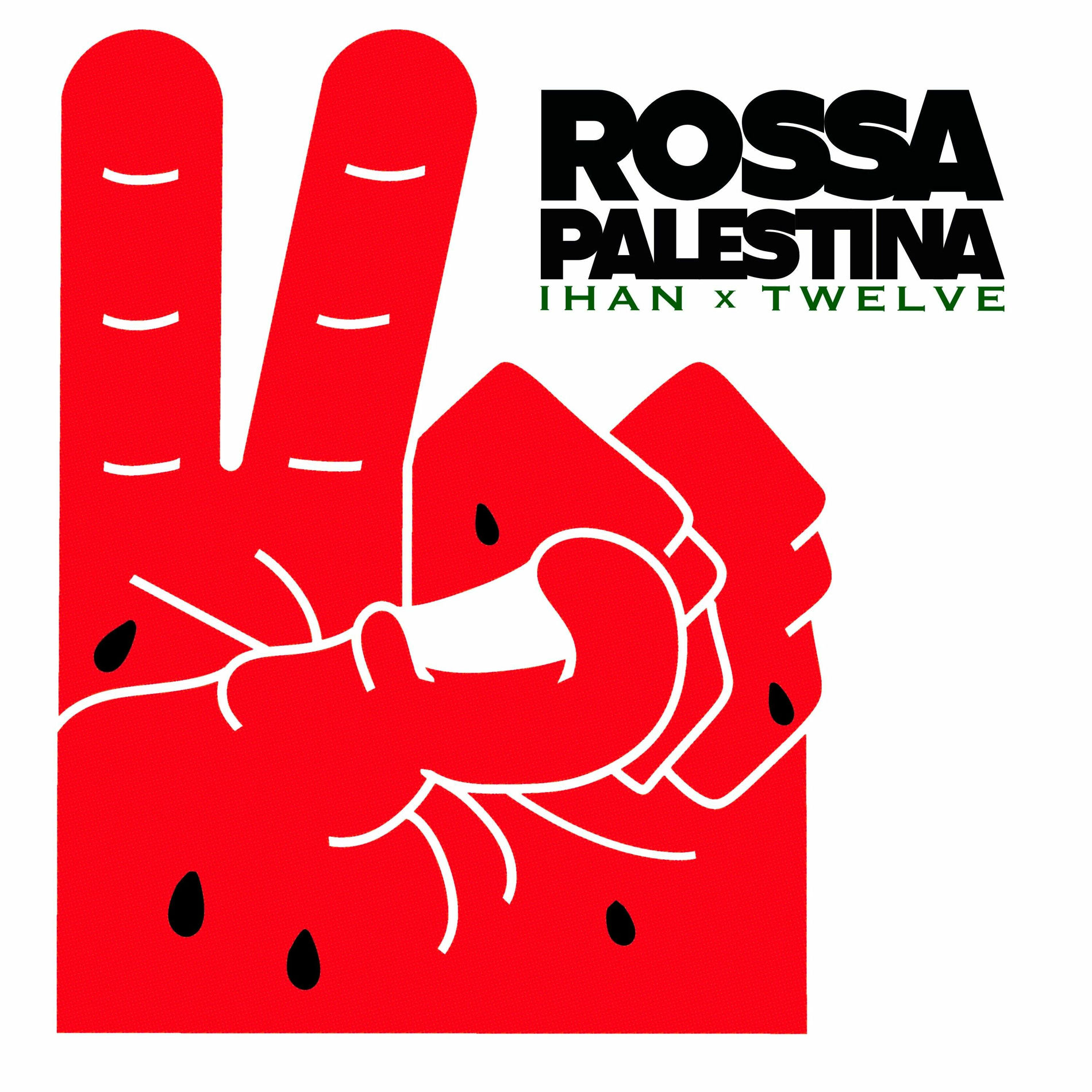 Album cover of Rossa Palestina