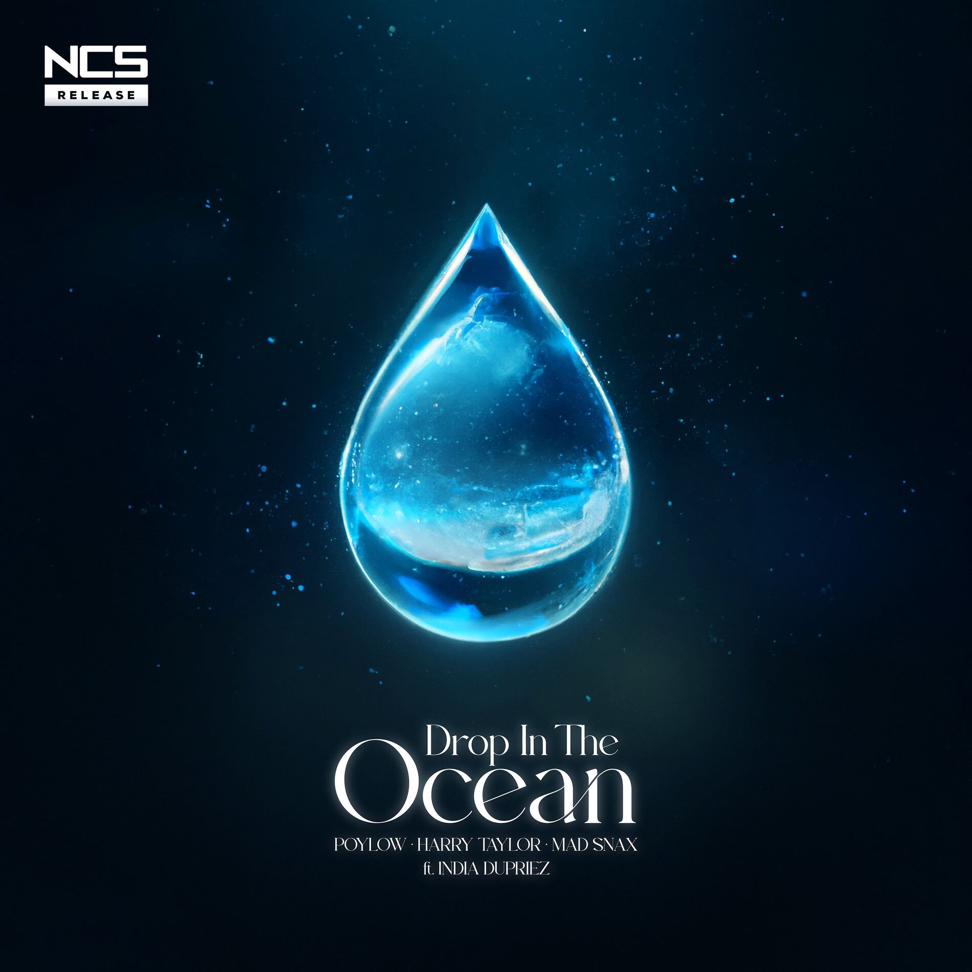 Album cover of Drop In The Ocean