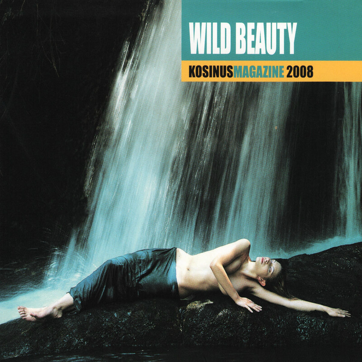 Album cover of Wild Beauty