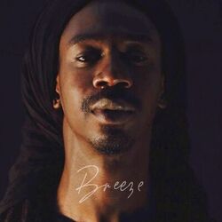 Cover of Breeze