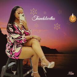 Cover of Thandolwethu