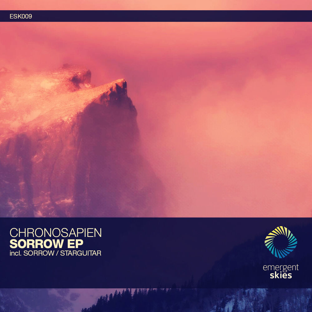Picture of Sorrow / Starguitar