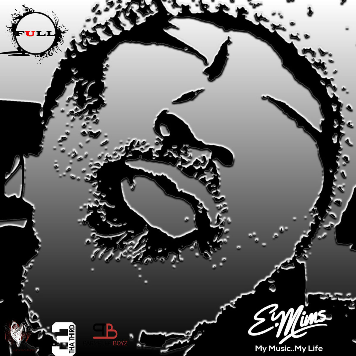 Album cover of Full Circle