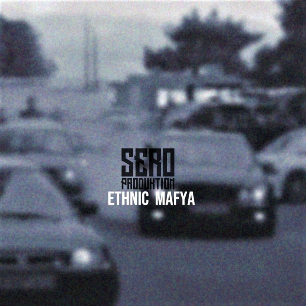 Album cover of Ethnic Mafya