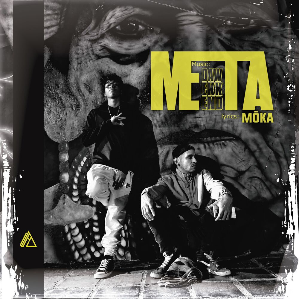 Picture of Meta