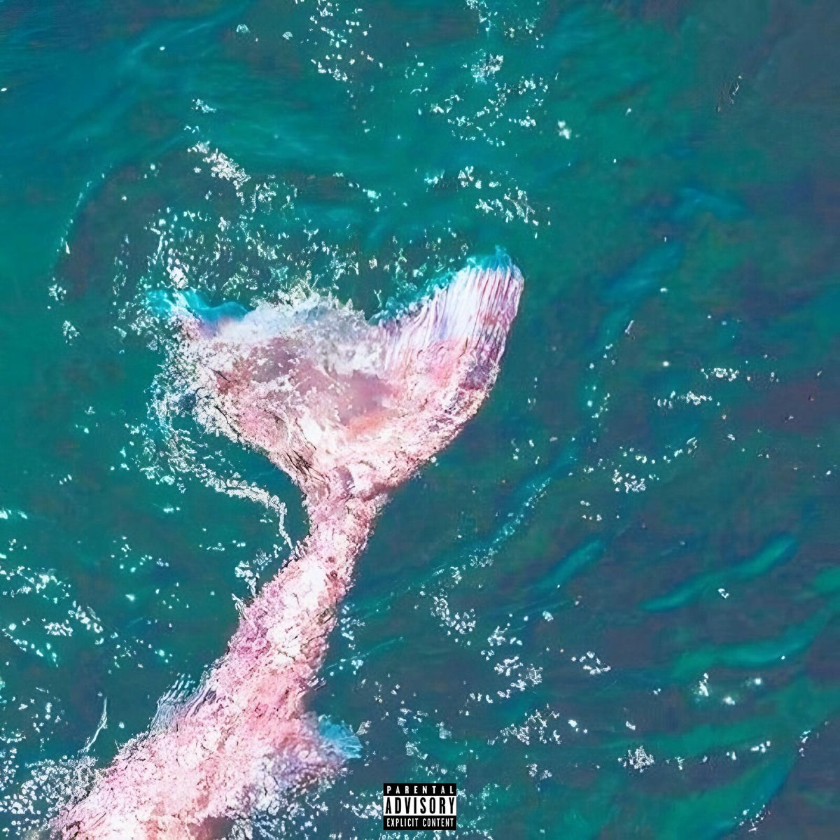 Album cover of LE NAVIRE