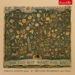 Cover of You Did Not Want For Joy