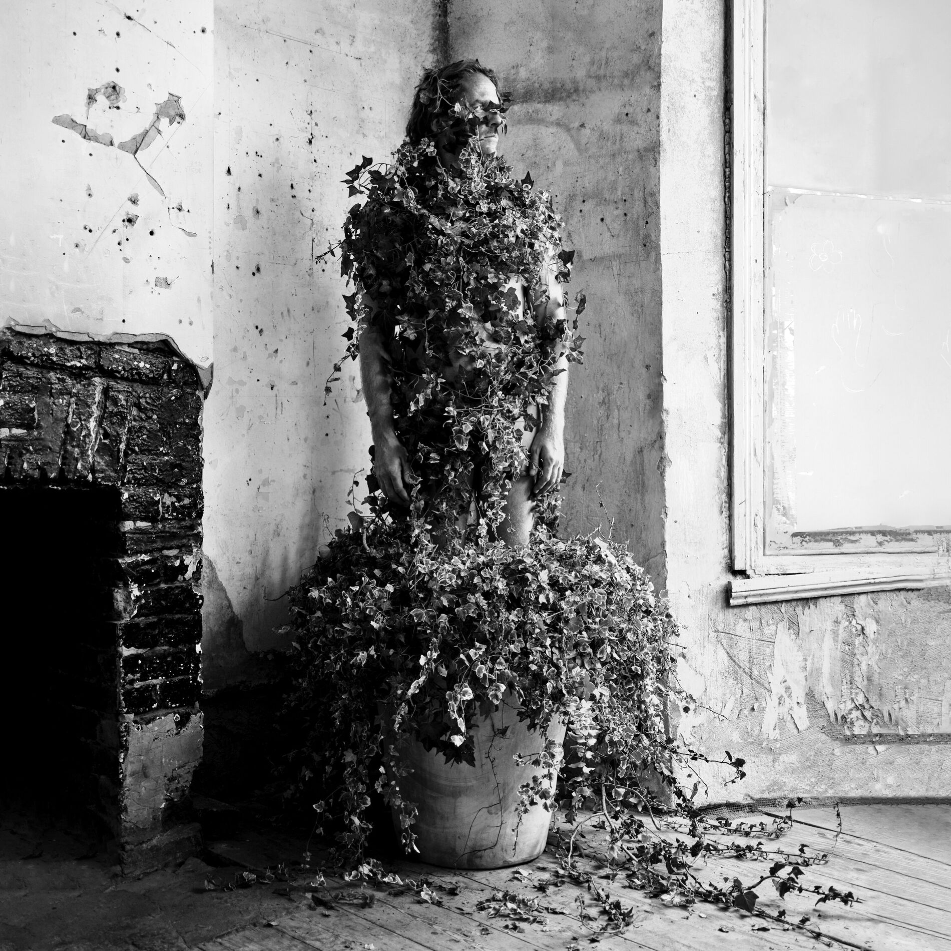 Album cover of Everything is Trauma or Allegory