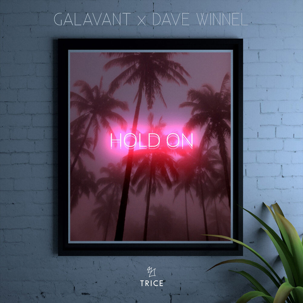 Picture of Hold On