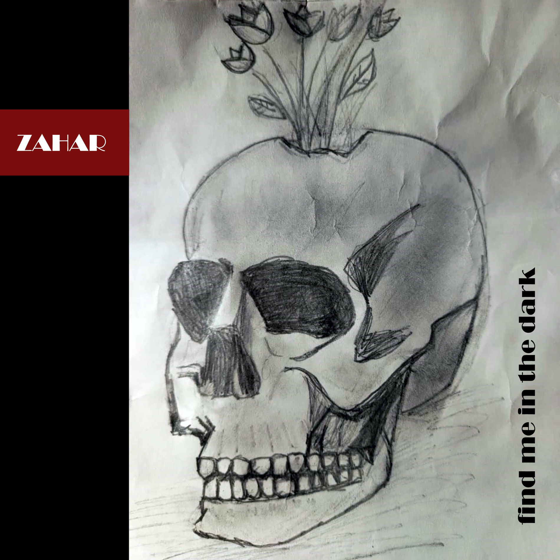 Album cover of Find Me in the Dark