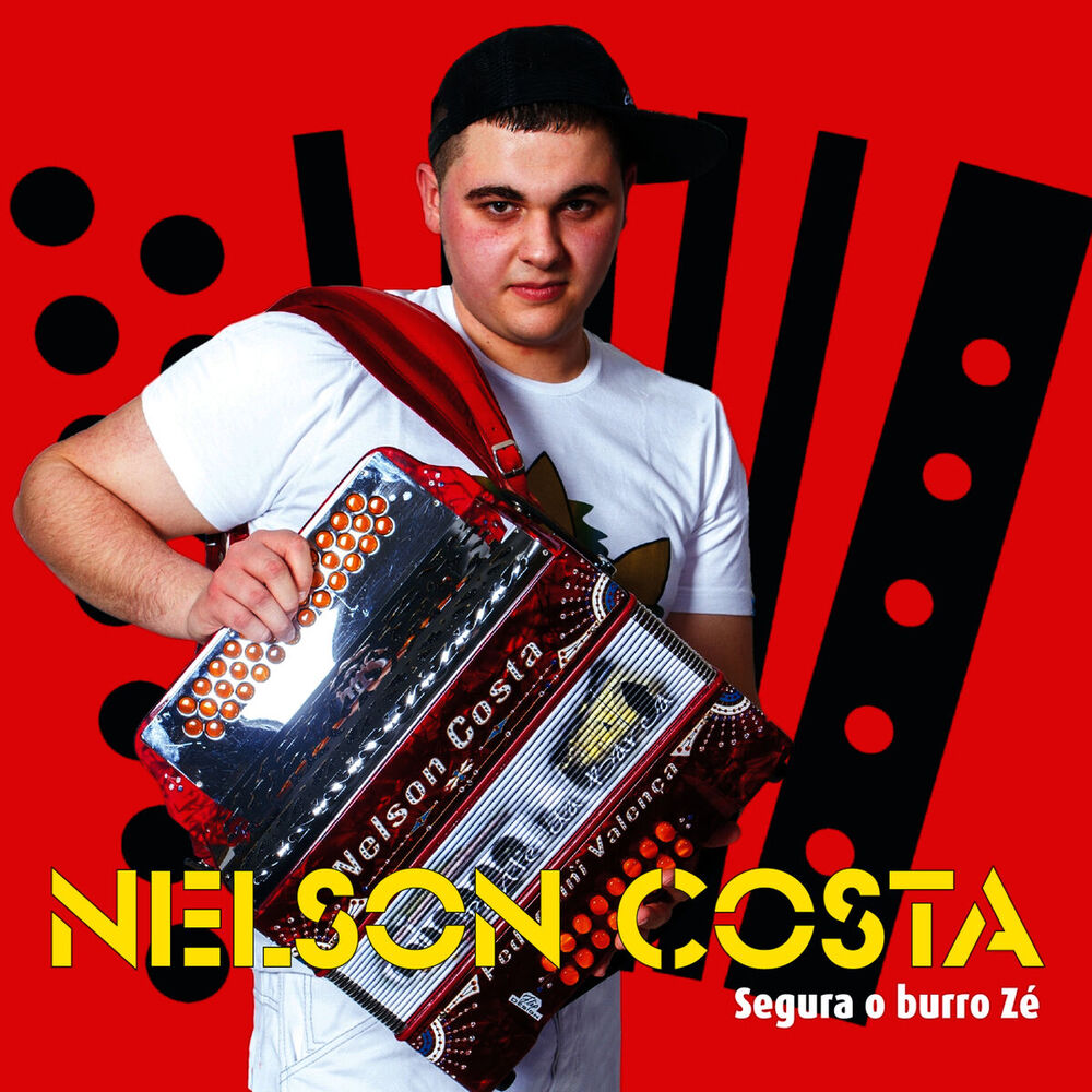 Picture of Segura o Burro Zé