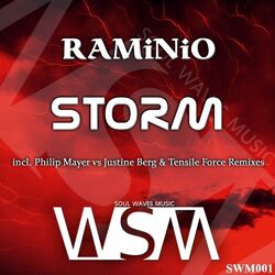 Cover of Storm