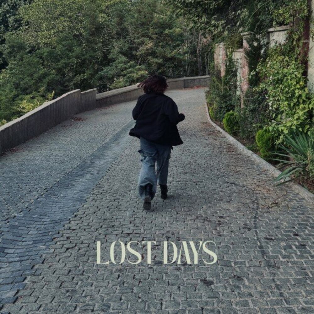 Picture of LOST DAYS
