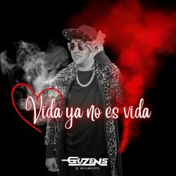 Cover of Vida ya no es Vida
